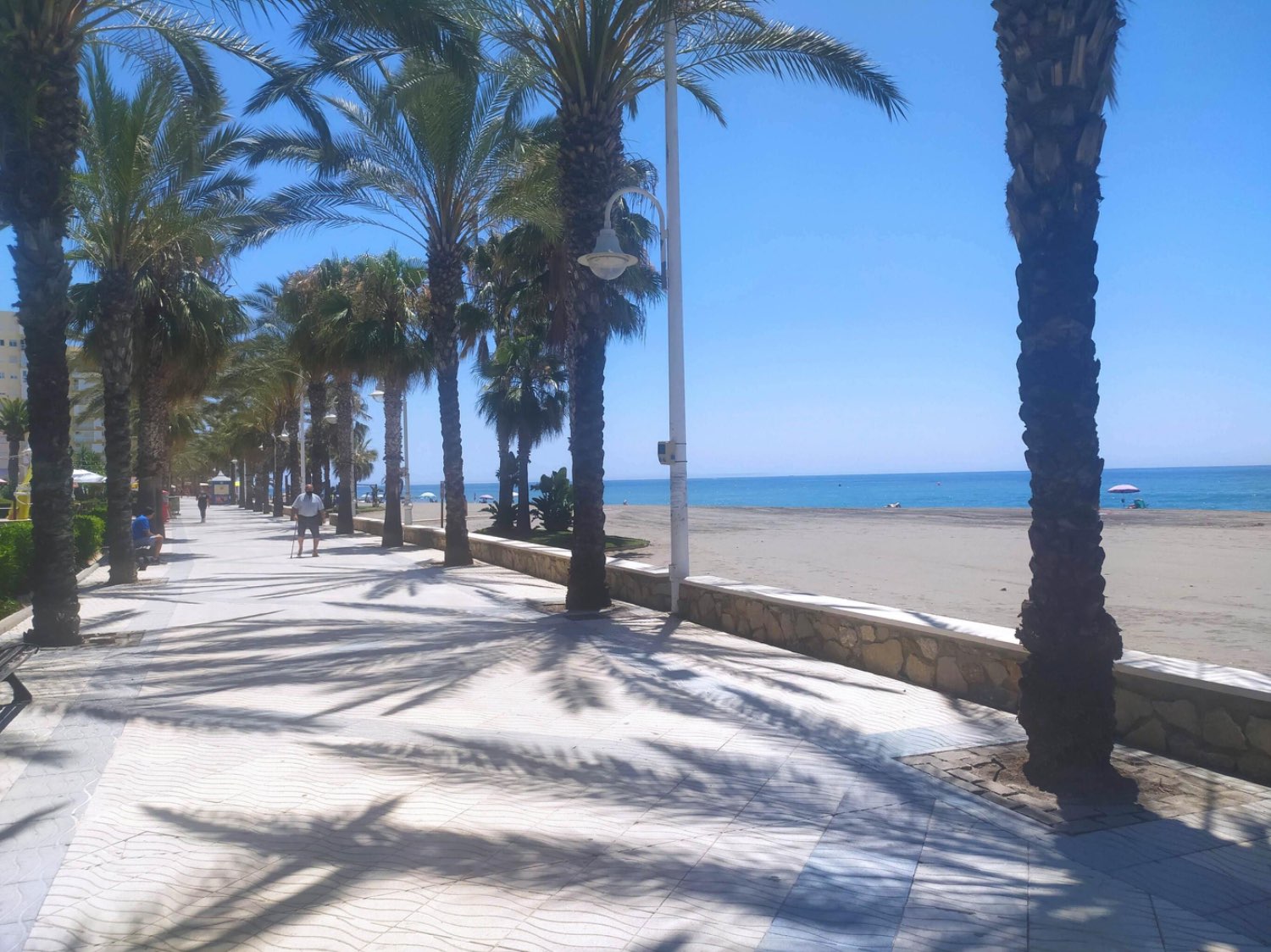 ALQUILER LOCAL ALGARROBO COSTA