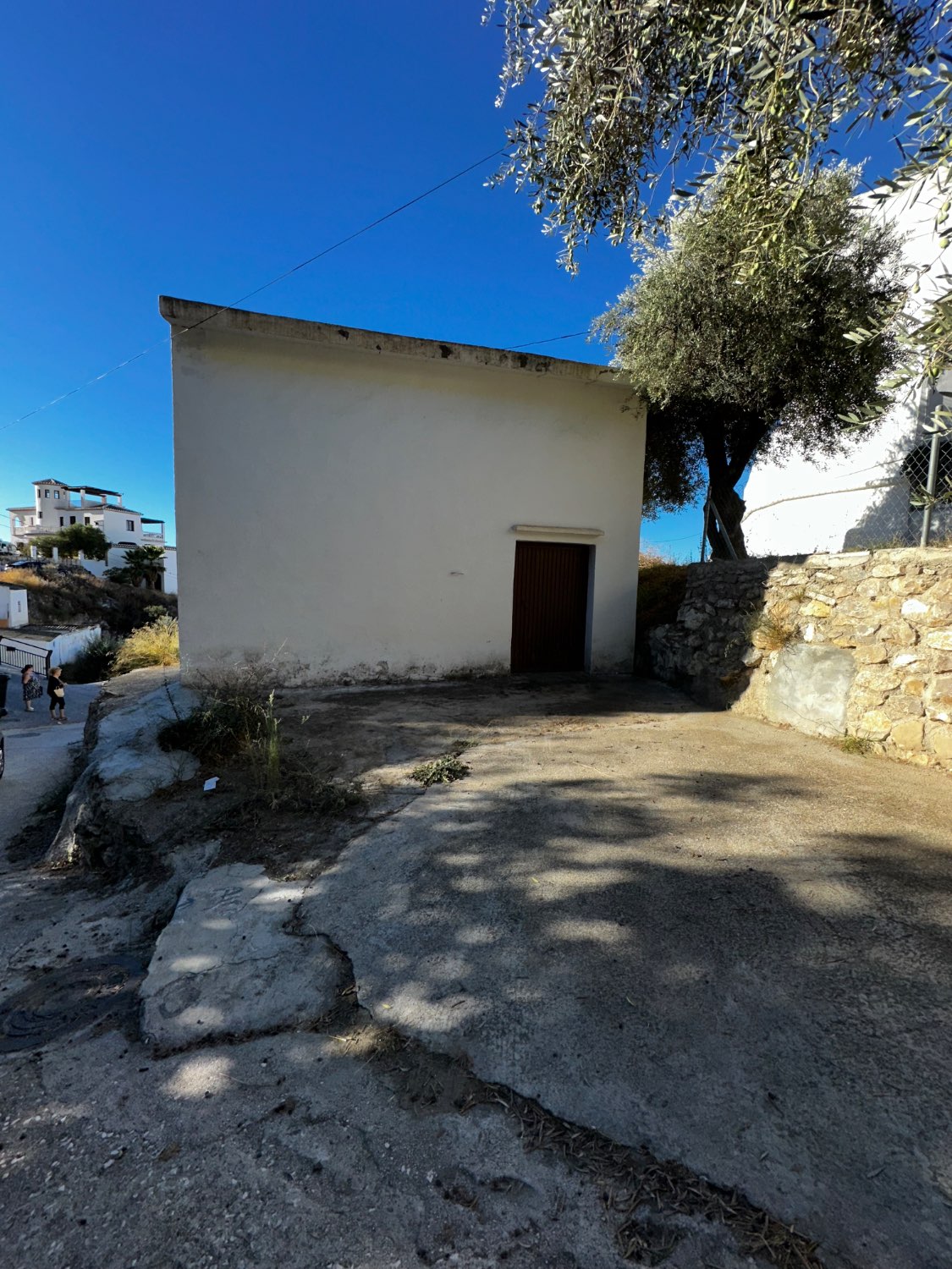 OPORTUNIDAD CANILLAS DE ACEITUNO