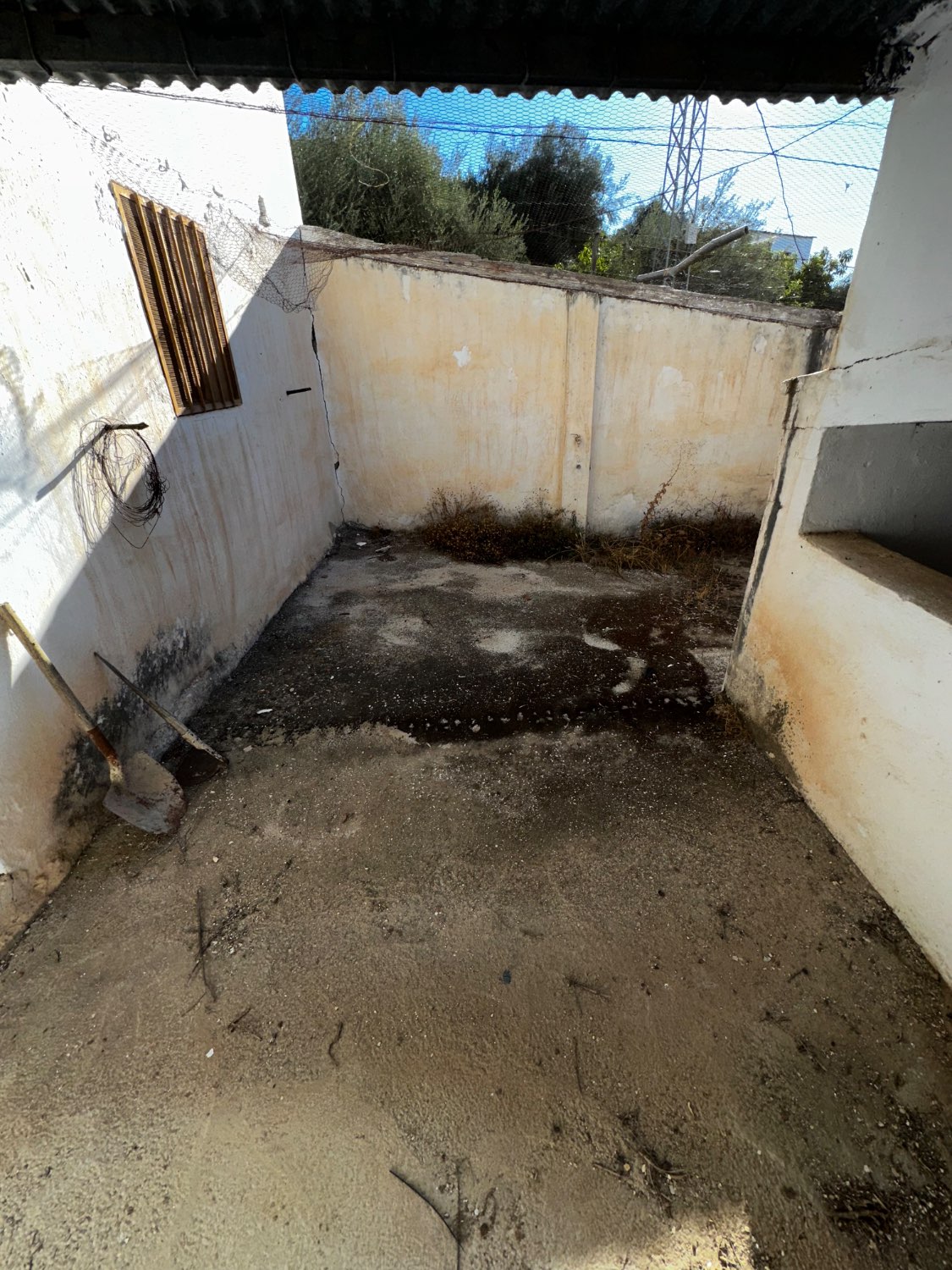 OPORTUNIDAD CANILLAS DE ACEITUNO