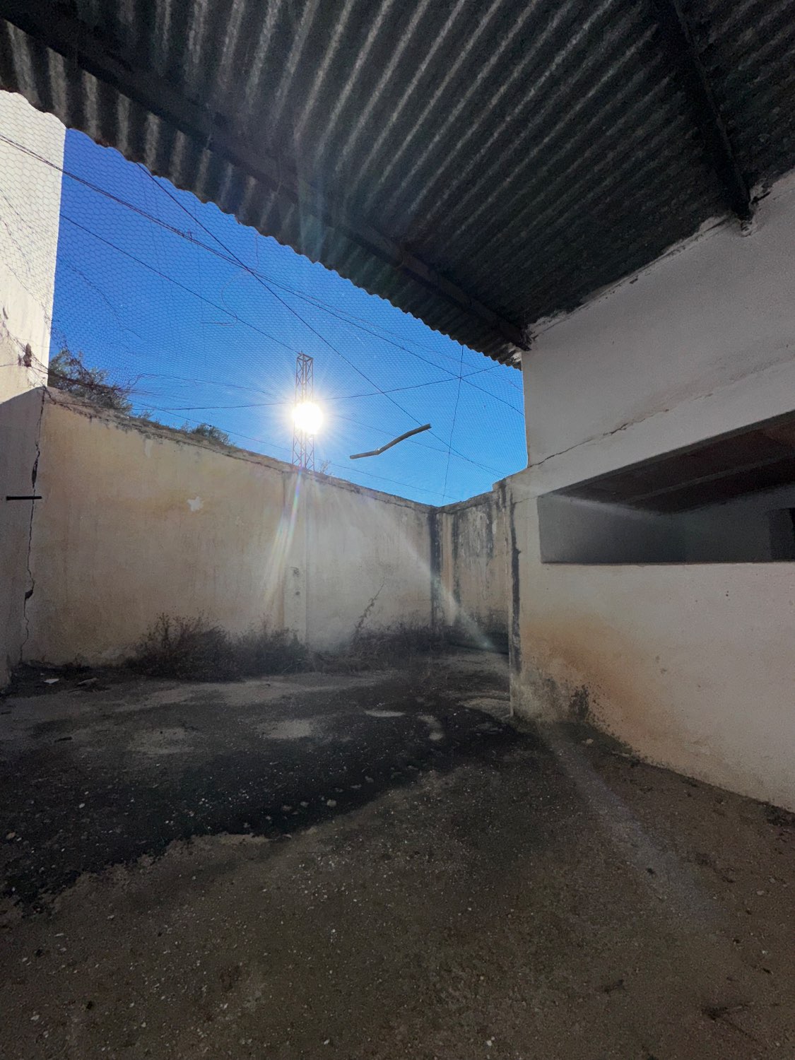 OPORTUNIDAD CANILLAS DE ACEITUNO