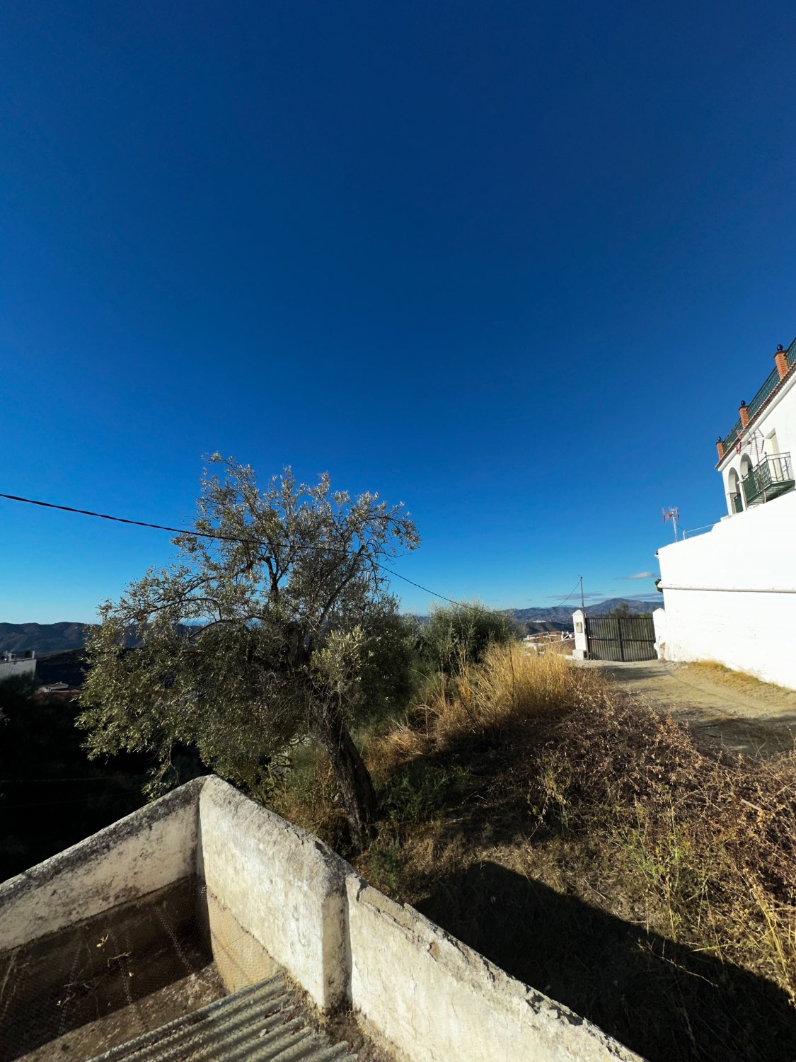 OPORTUNIDAD CANILLAS DE ACEITUNO