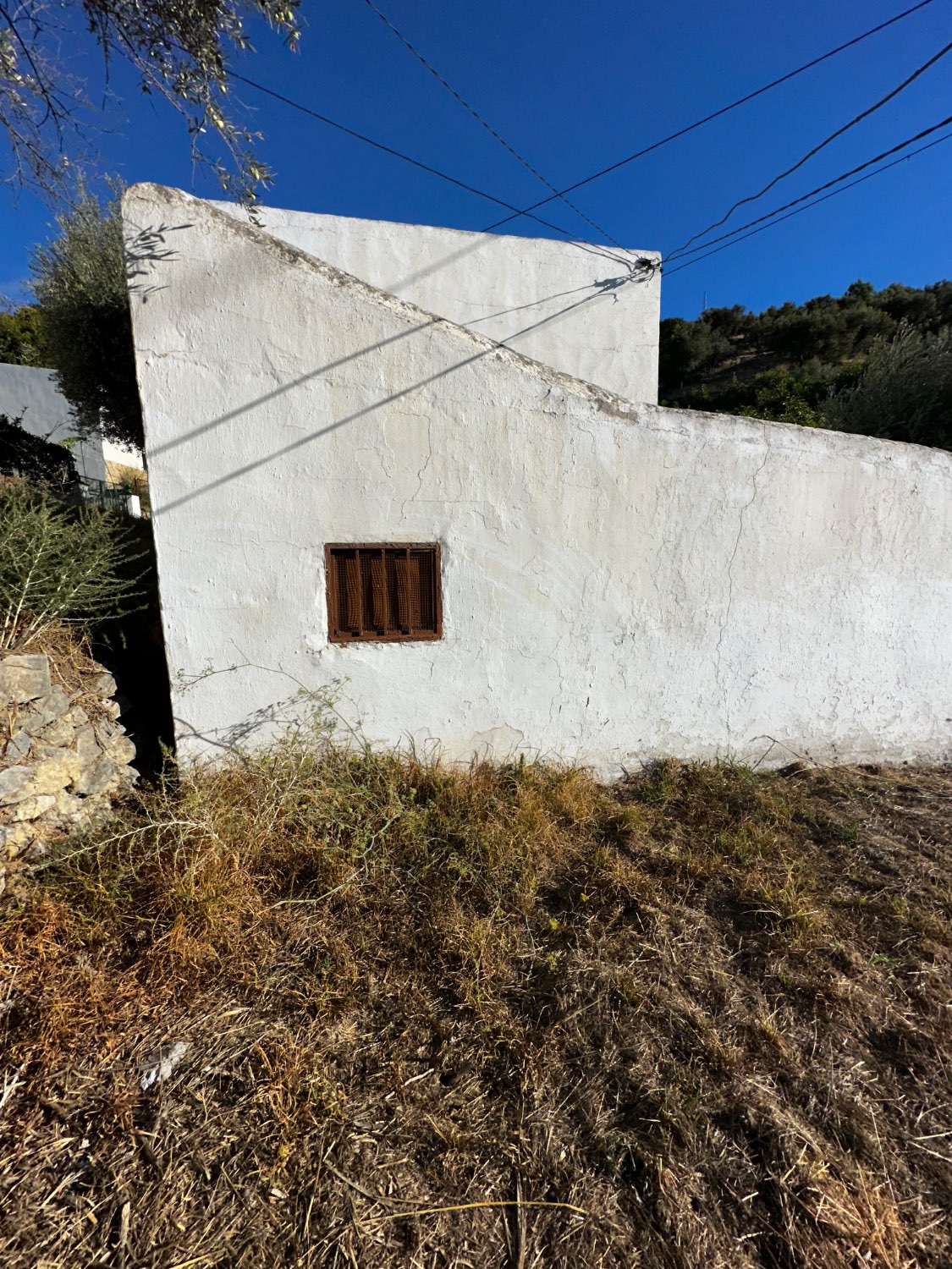 OPORTUNIDAD CANILLAS DE ACEITUNO