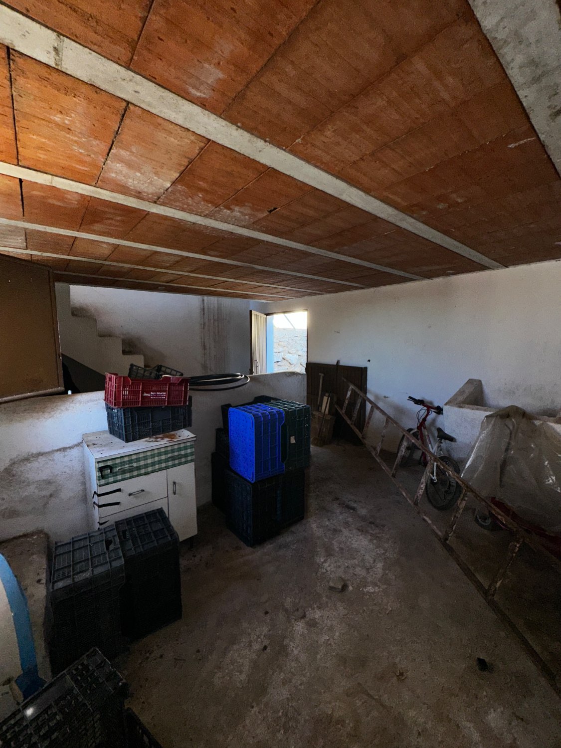 OPORTUNIDAD CANILLAS DE ACEITUNO