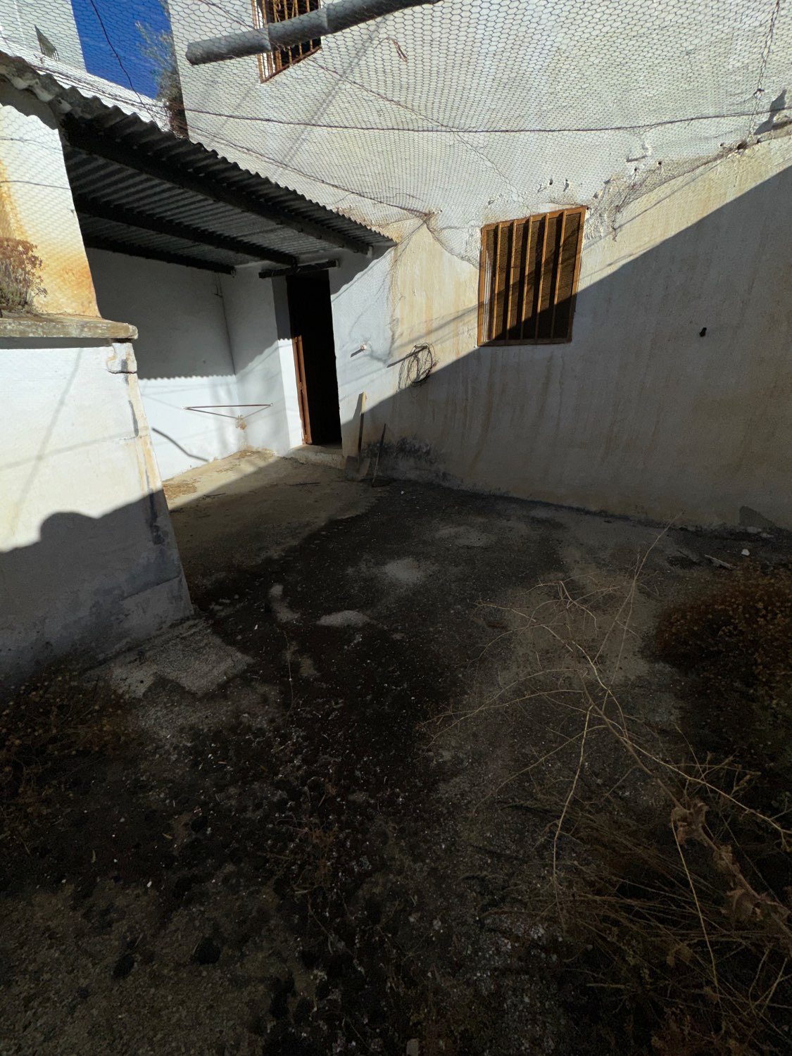 OPORTUNIDAD CANILLAS DE ACEITUNO