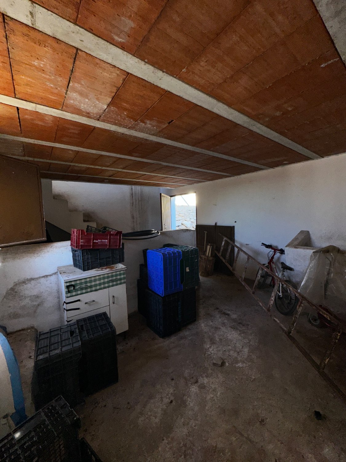 OPORTUNIDAD CANILLAS DE ACEITUNO