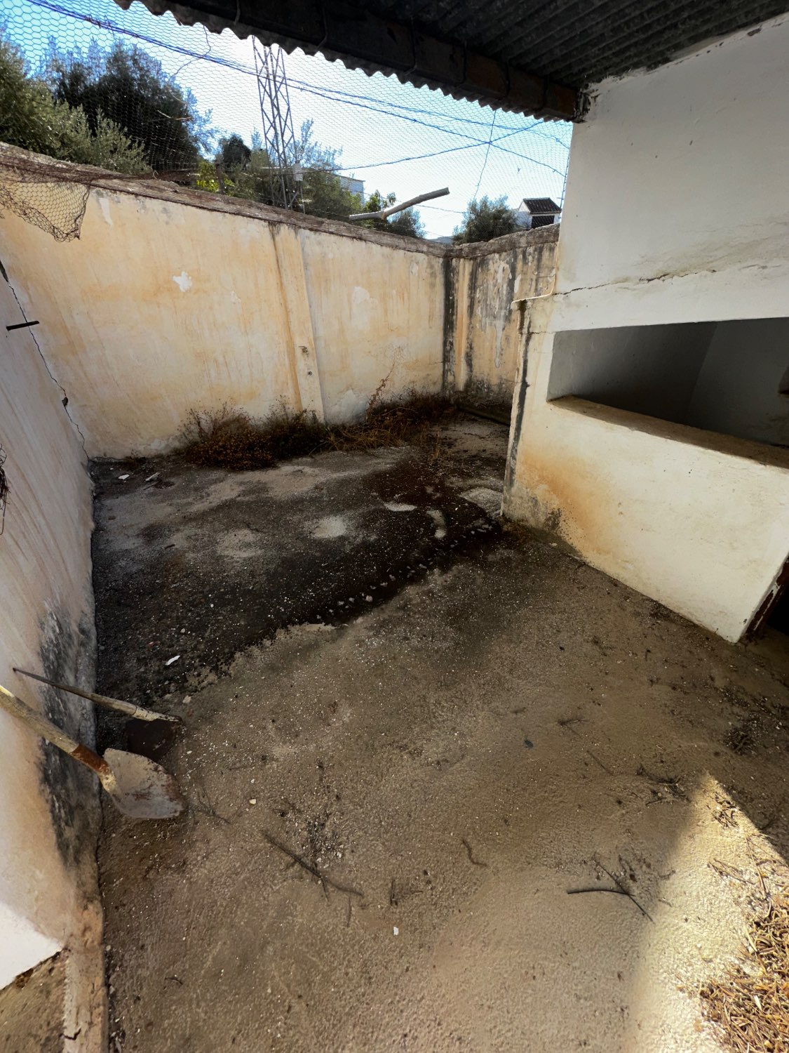 OPORTUNIDAD CANILLAS DE ACEITUNO