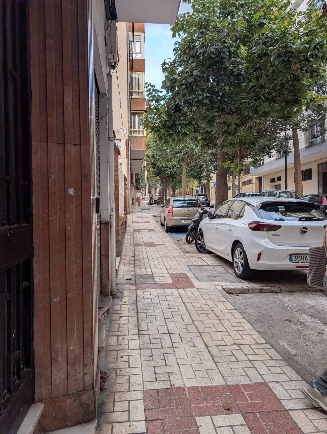 EXCLUSIVA LOCAL CENTRO DE MALAGA