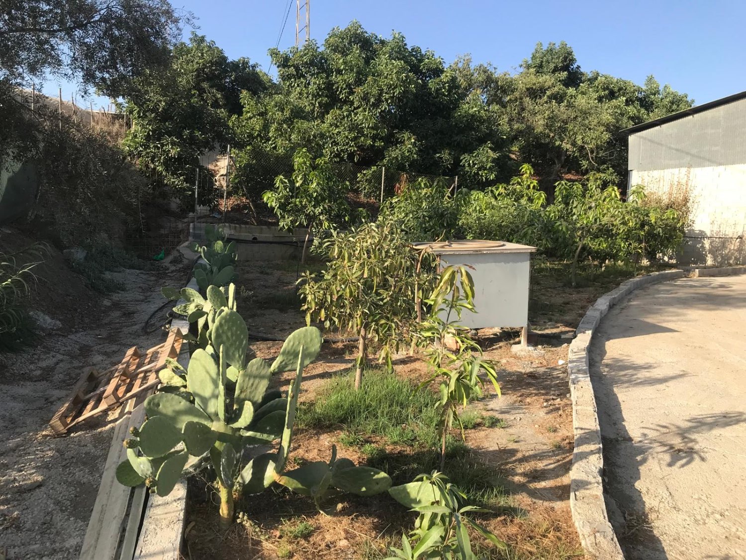 OPORTUNIDAD UNICA , FINCA CON NAVE Y CASA CON PISCINA EN VELEZ MALAGA