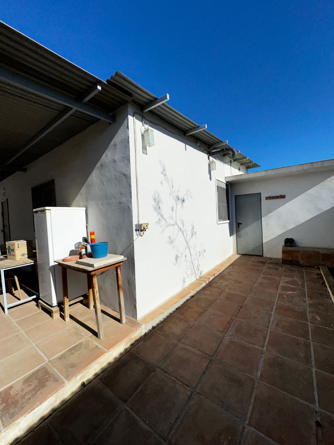 OPORTUNIDAD UNICA , FINCA CON NAVE Y CASA CON PISCINA EN VELEZ MALAGA