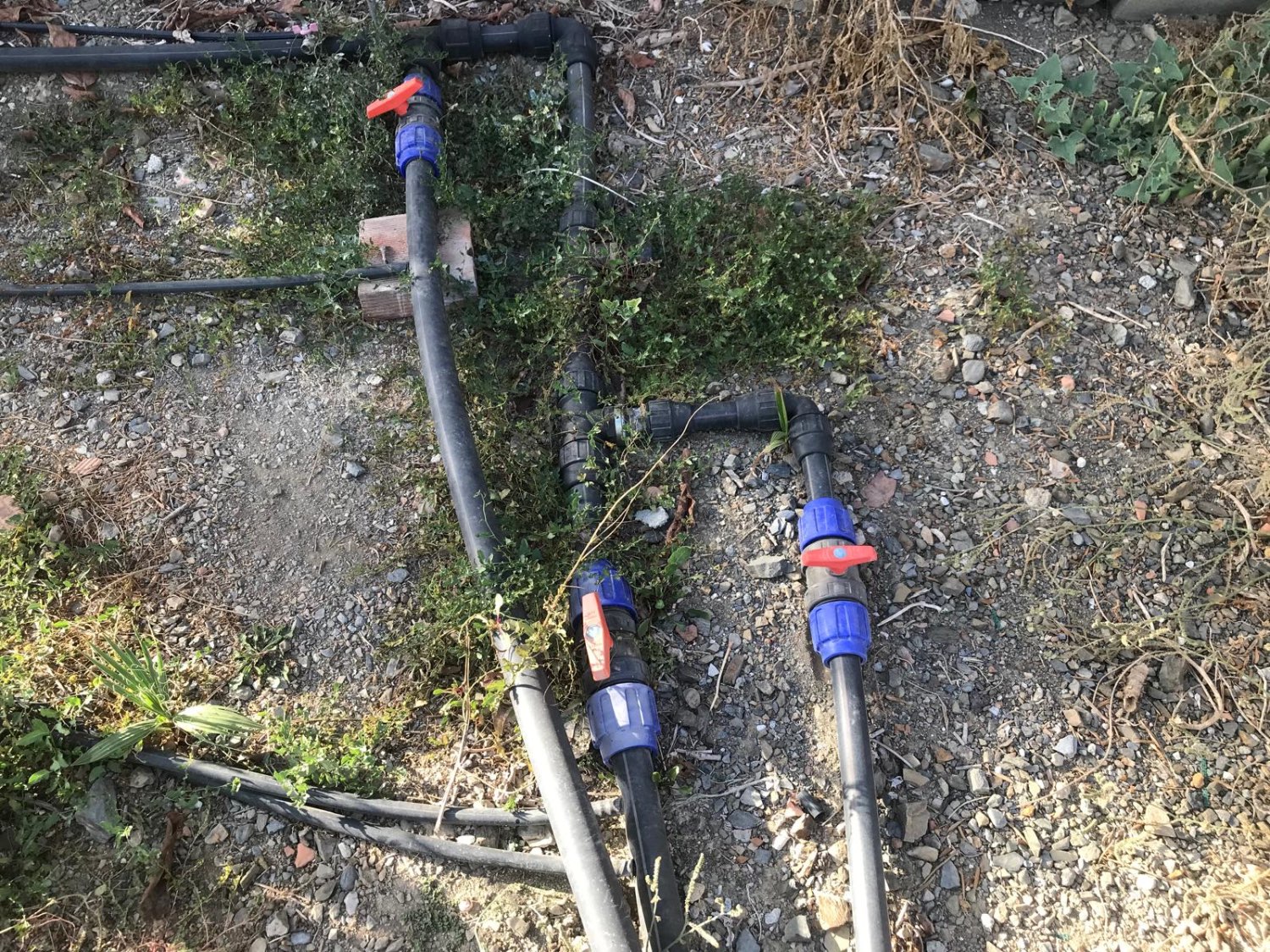 OPORTUNIDAD UNICA , FINCA CON NAVE Y CASA CON PISCINA EN VELEZ MALAGA