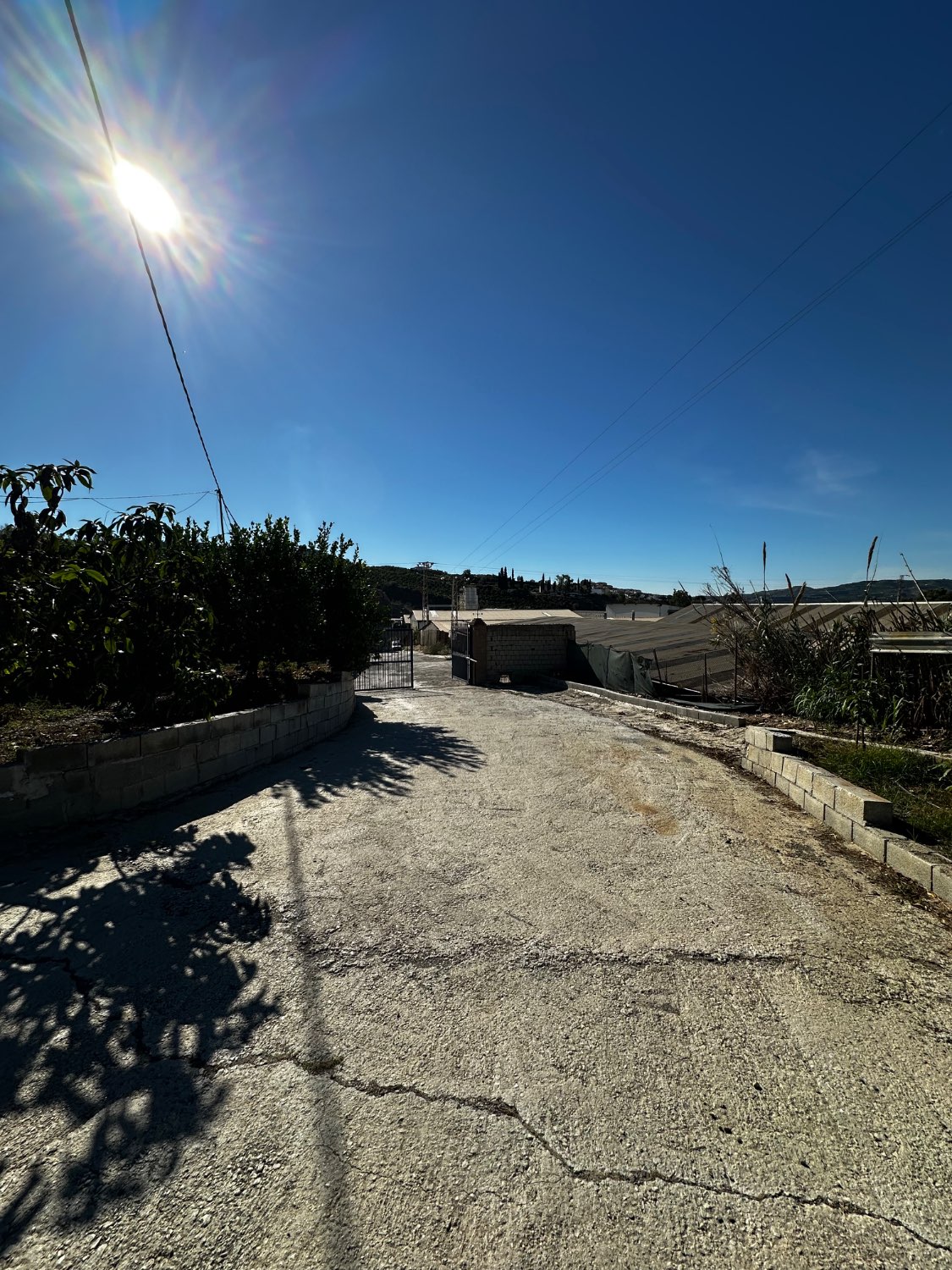 OPORTUNIDAD UNICA , FINCA CON NAVE Y CASA CON PISCINA EN VELEZ MALAGA