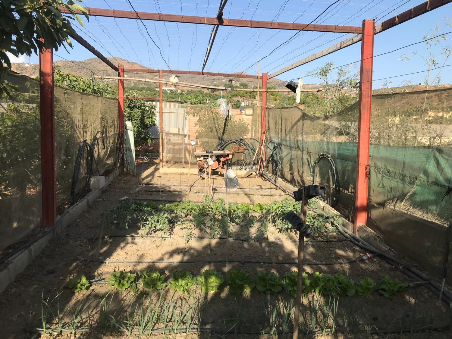 OPORTUNIDAD UNICA , FINCA CON NAVE Y CASA CON PISCINA EN VELEZ MALAGA