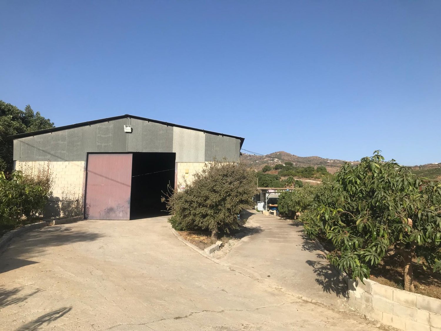 OPORTUNIDAD UNICA , FINCA CON NAVE Y CASA CON PISCINA EN VELEZ MALAGA