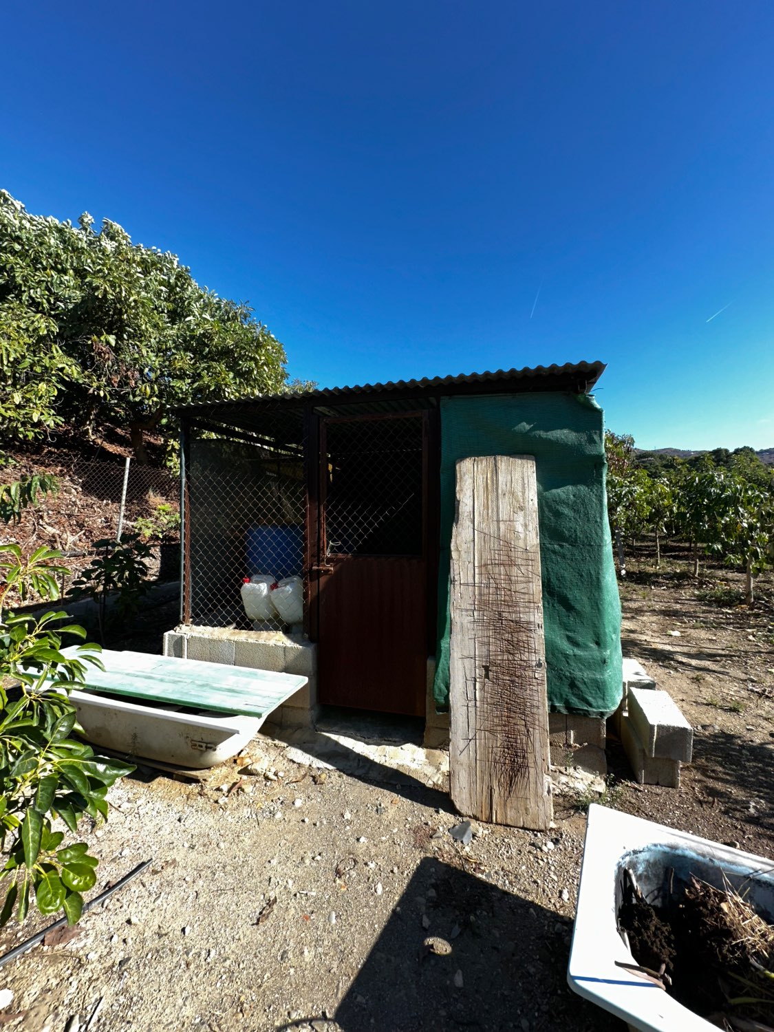 OPORTUNIDAD UNICA , FINCA CON NAVE Y CASA CON PISCINA EN VELEZ MALAGA