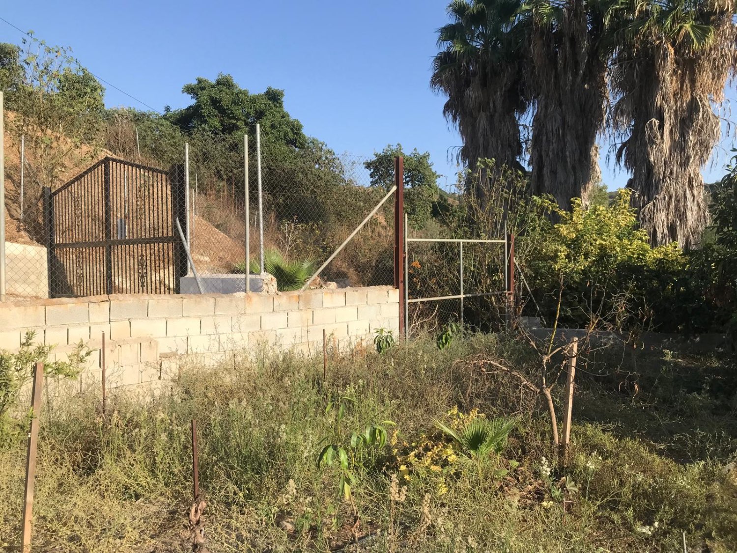 OPORTUNIDAD UNICA , FINCA CON NAVE Y CASA CON PISCINA EN VELEZ MALAGA