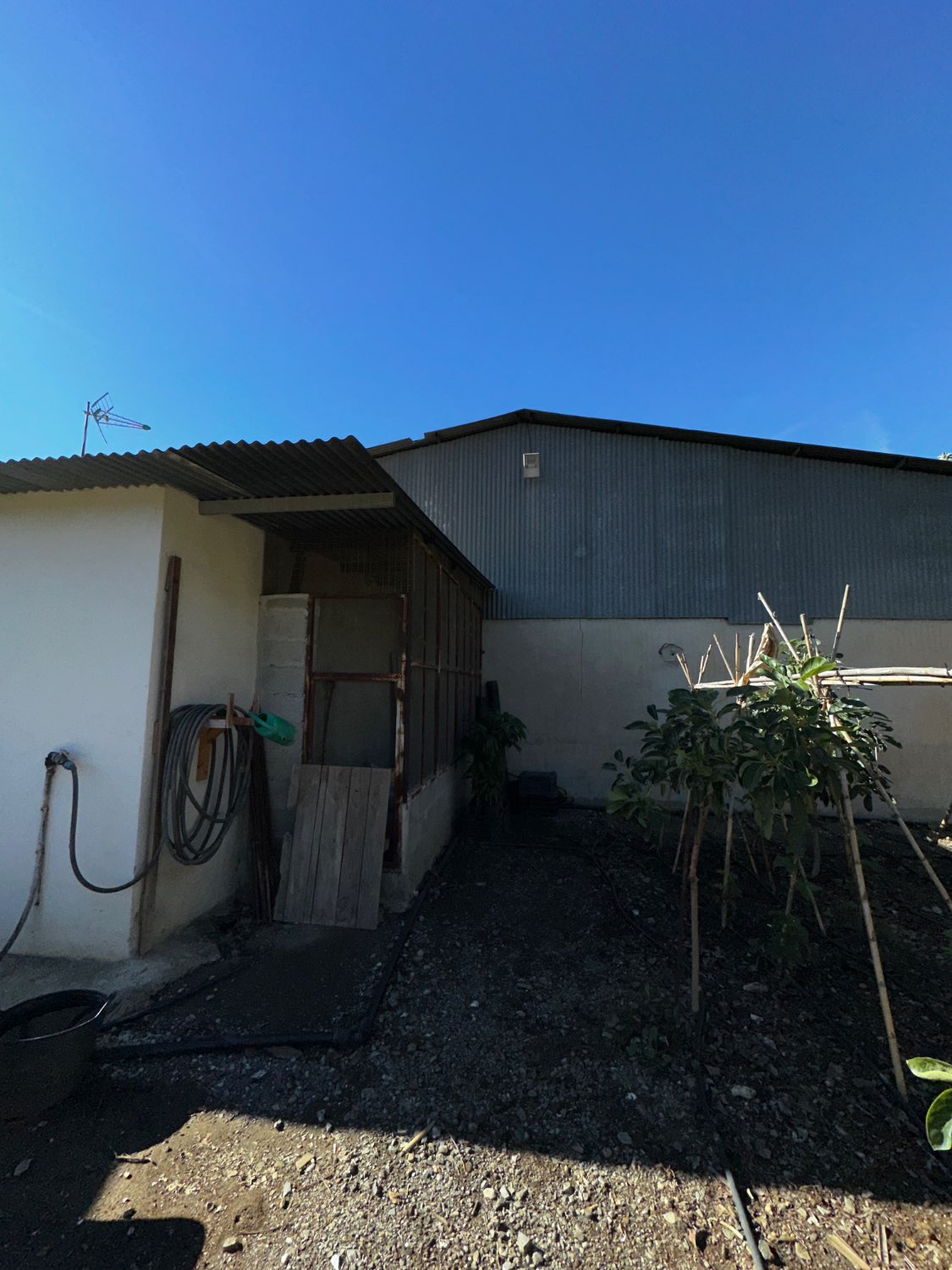 OPORTUNIDAD UNICA , FINCA CON NAVE Y CASA CON PISCINA EN VELEZ MALAGA