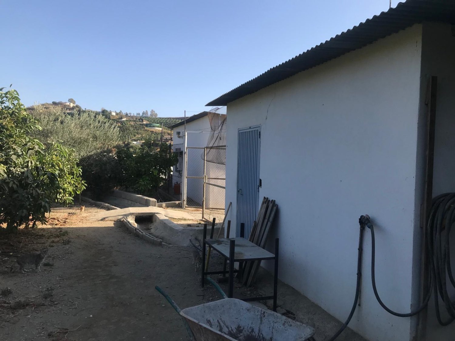 OPORTUNIDAD UNICA , FINCA CON NAVE Y CASA CON PISCINA EN VELEZ MALAGA