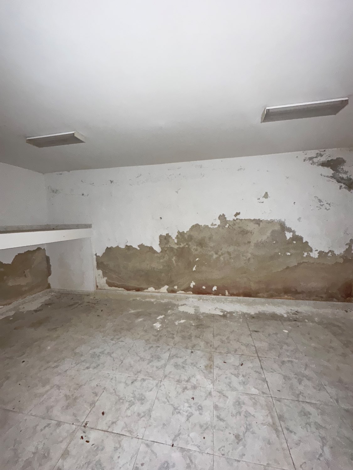 OCASION LOCAL VELEZ MALAGA