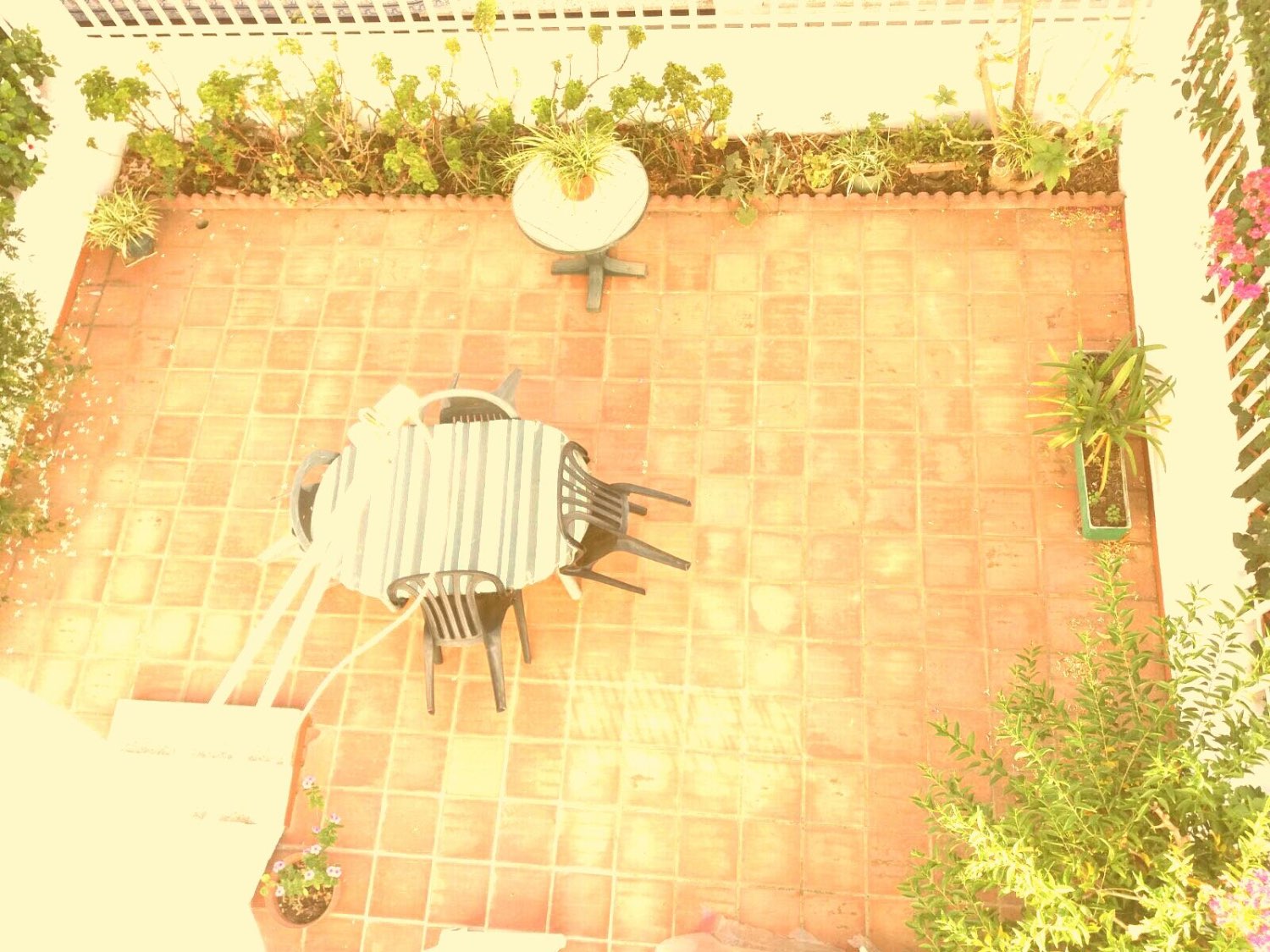 ALQUILER CASA LARGA TEMPORADA EN ALGARROBO COSTA