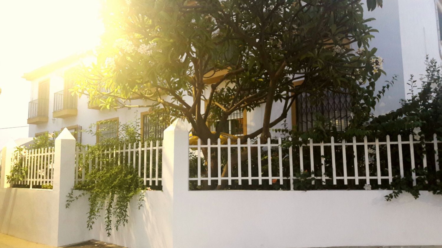 ALQUILER CASA LARGA TEMPORADA EN ALGARROBO COSTA