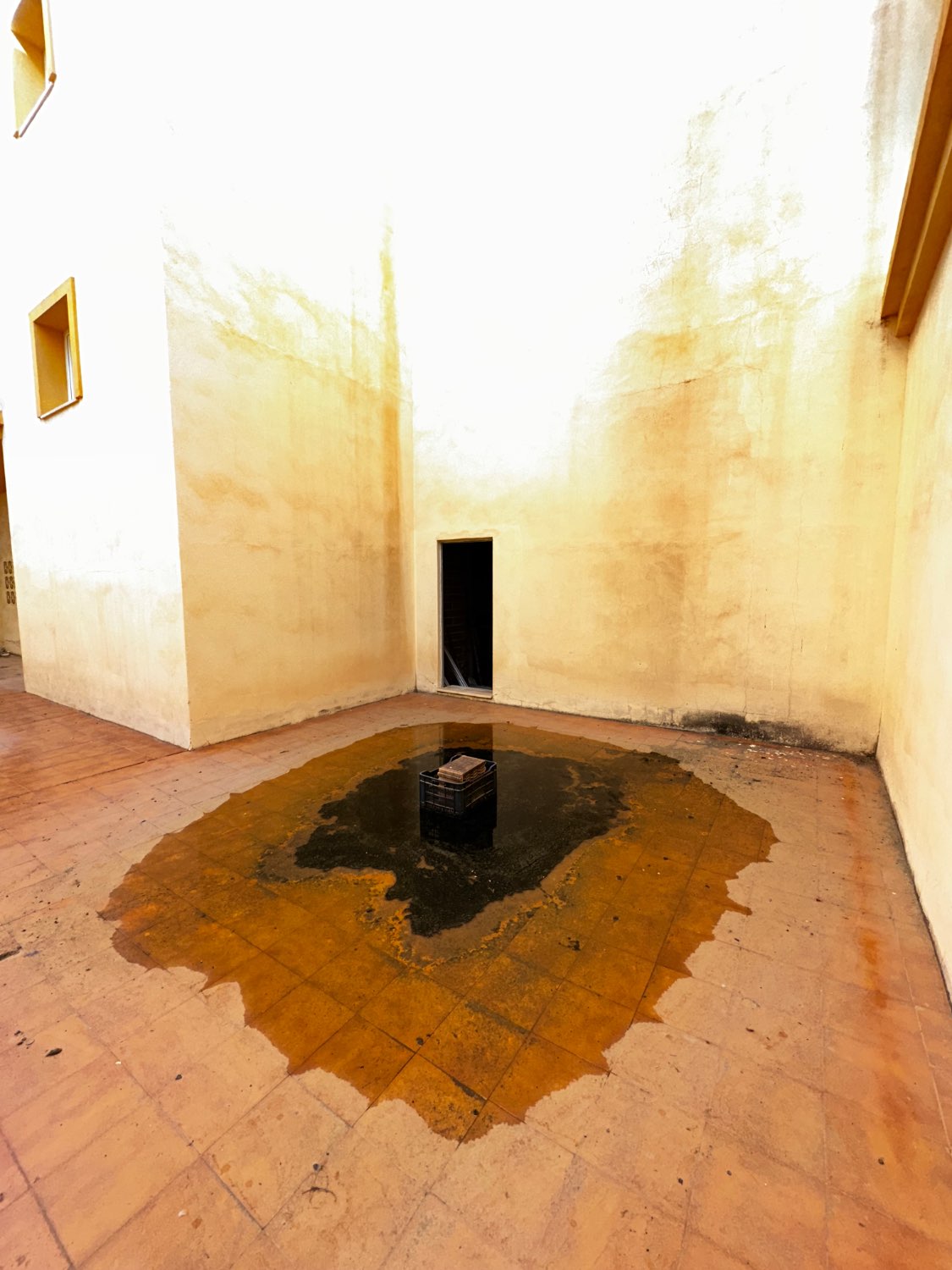 OPORTUNIDAD VENTA LOCAL EN VELEZ MALAGA