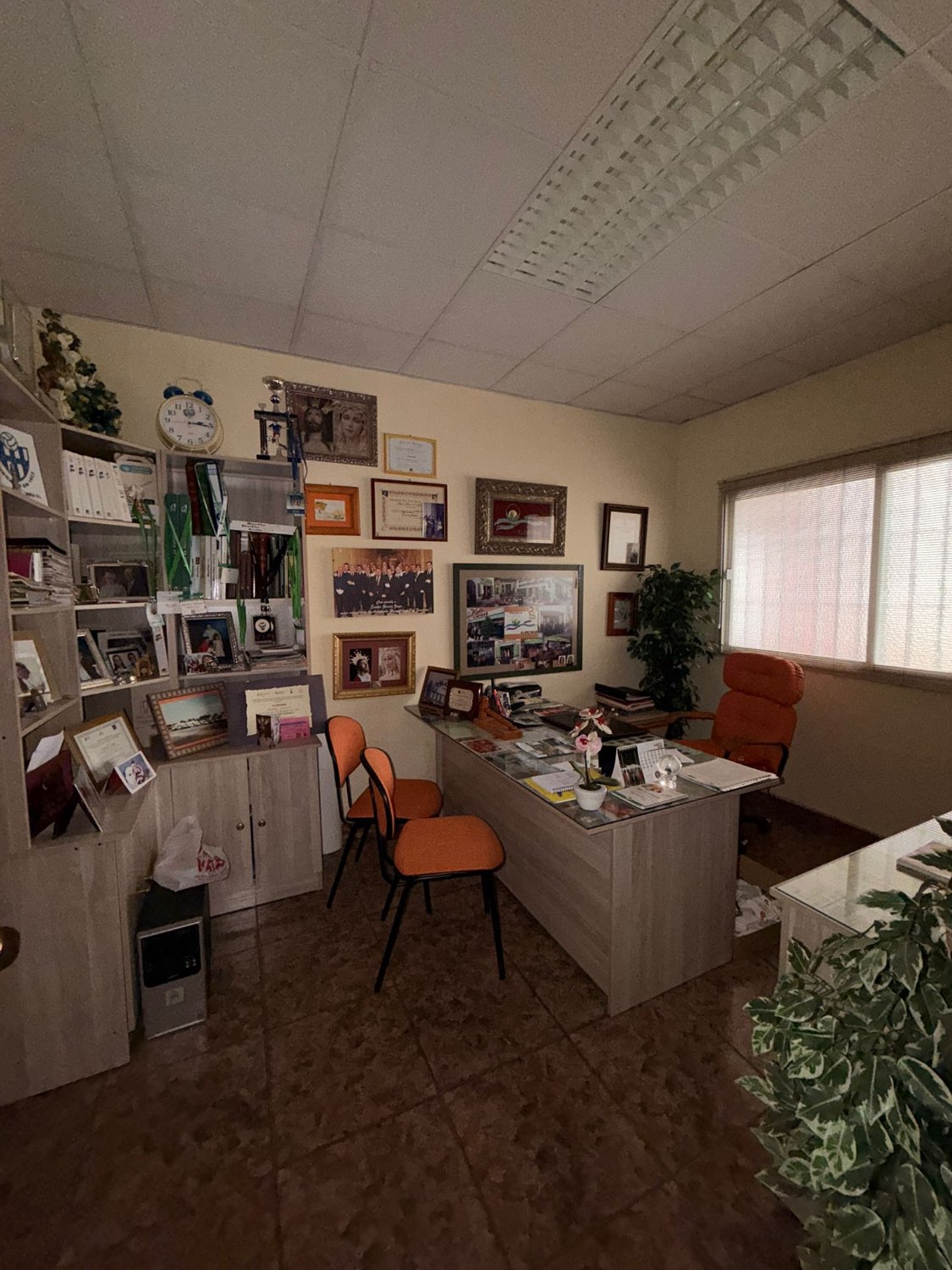 OPORTUNIDAD DE NEGOCIO EN VELEZ MALAGA