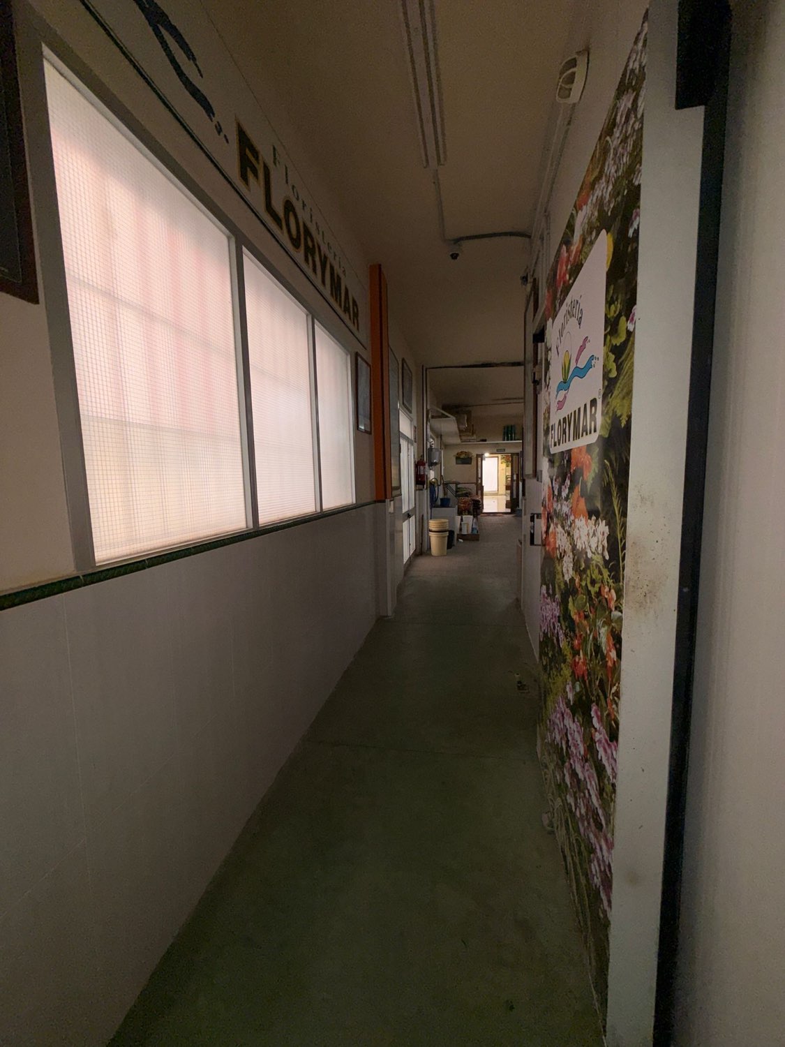 OPORTUNIDAD DE NEGOCIO EN VELEZ MALAGA