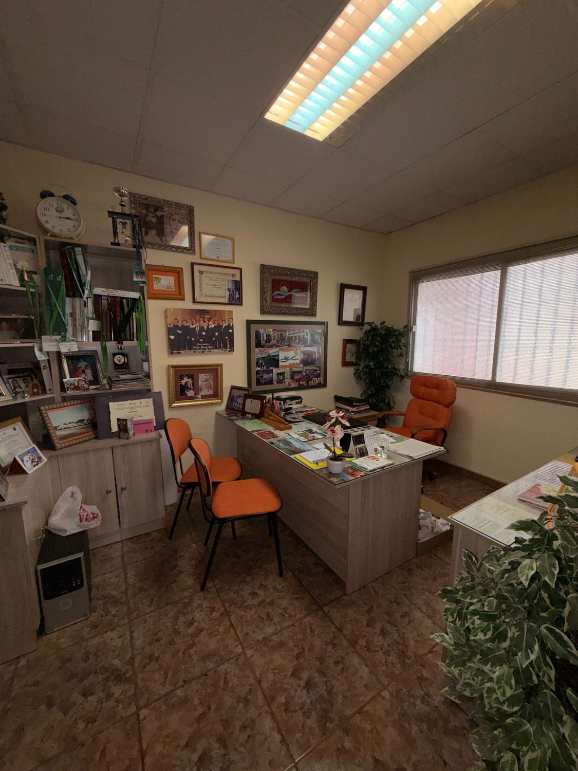 OPORTUNIDAD DE NEGOCIO EN VELEZ MALAGA