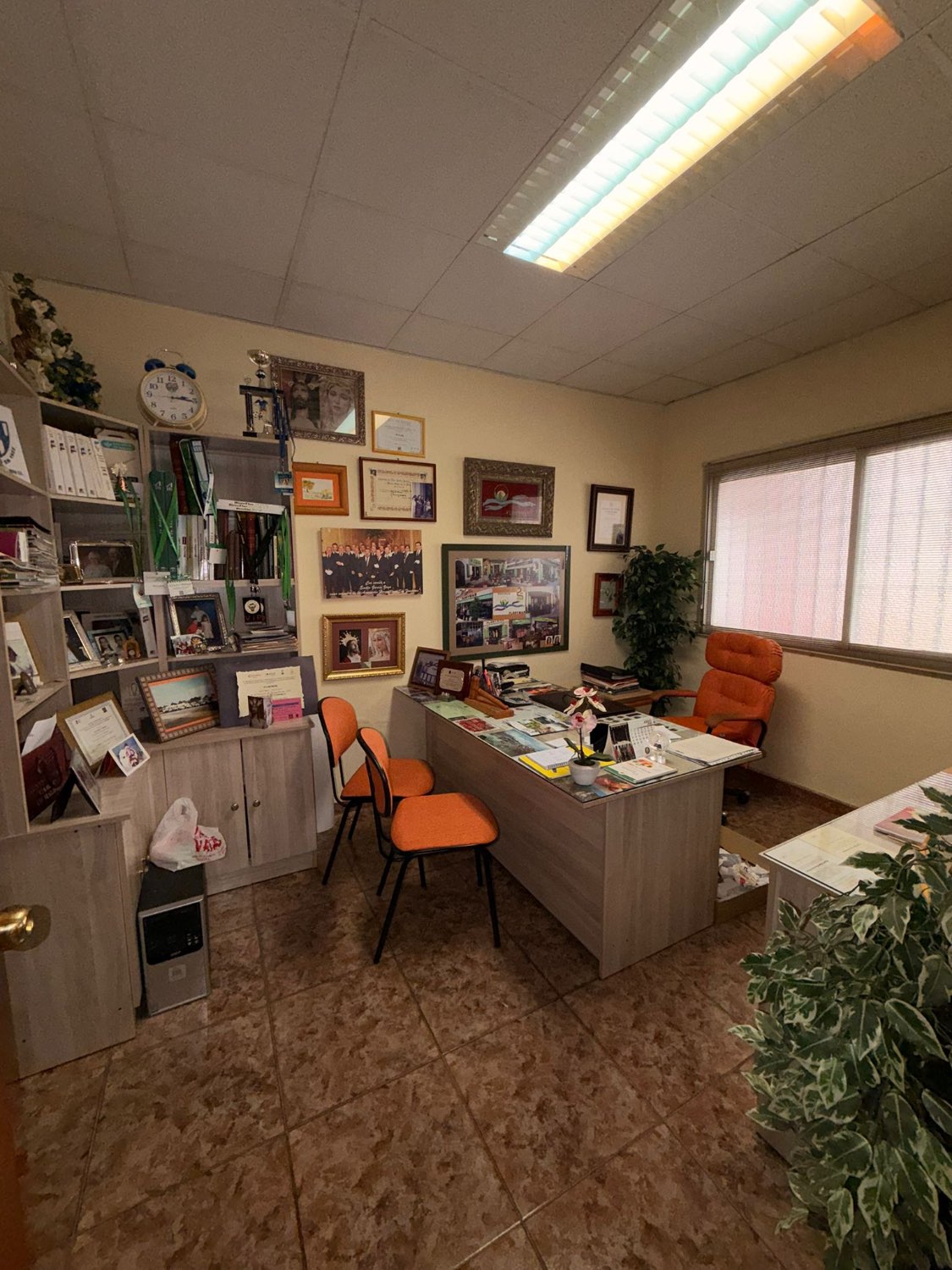 OPORTUNIDAD DE NEGOCIO EN VELEZ MALAGA