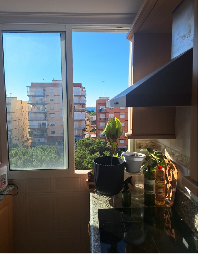 NUEVA VIVIENDA EN TORRE DEL MAR