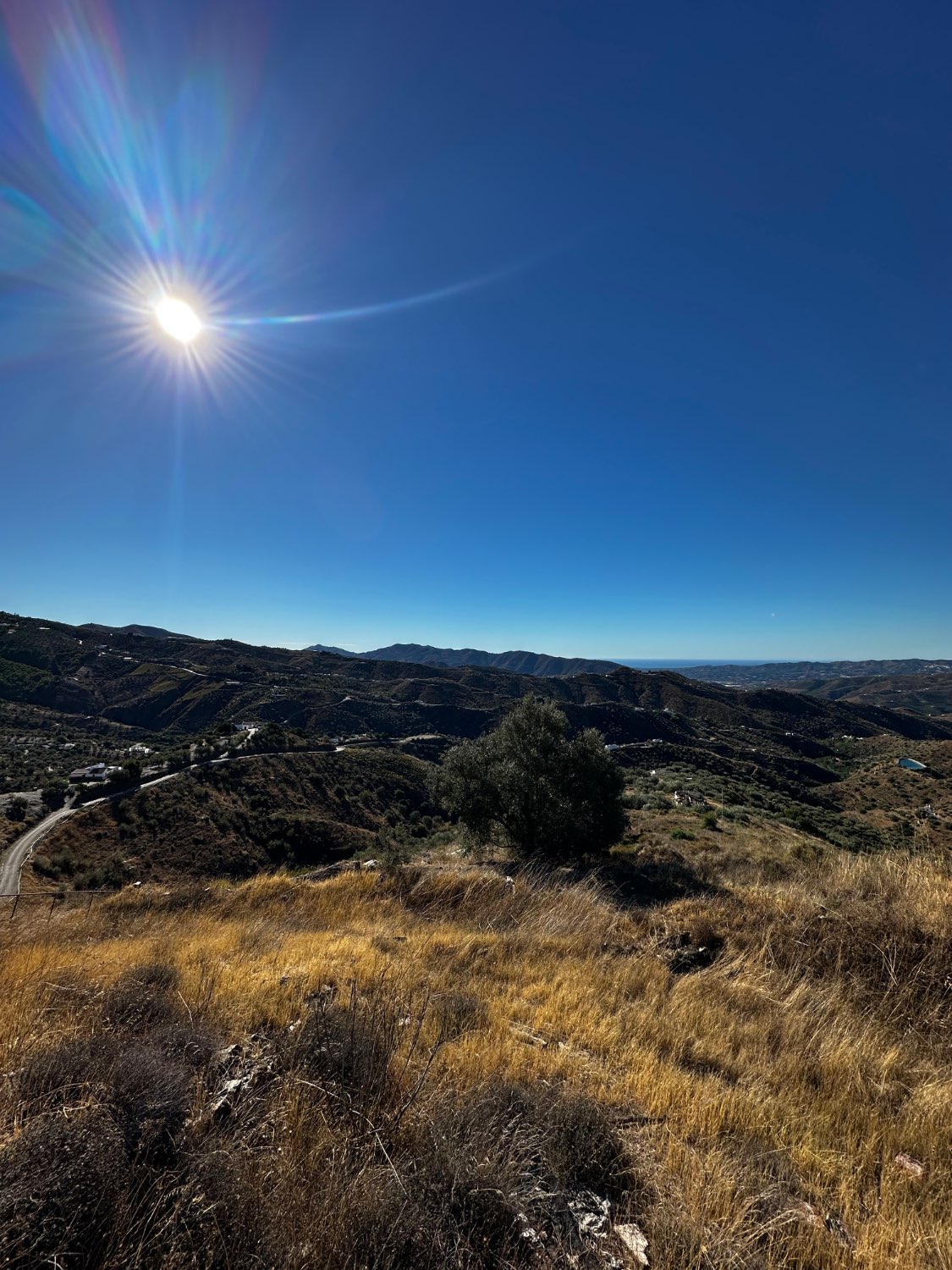 CASA DE CAMPO EN CANILLAS DE ACEITUNO