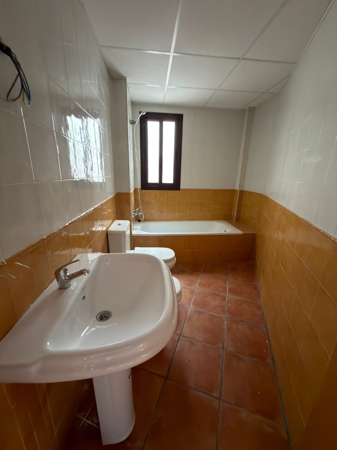 NUEVA PROMOCION EN ALCAUCIN