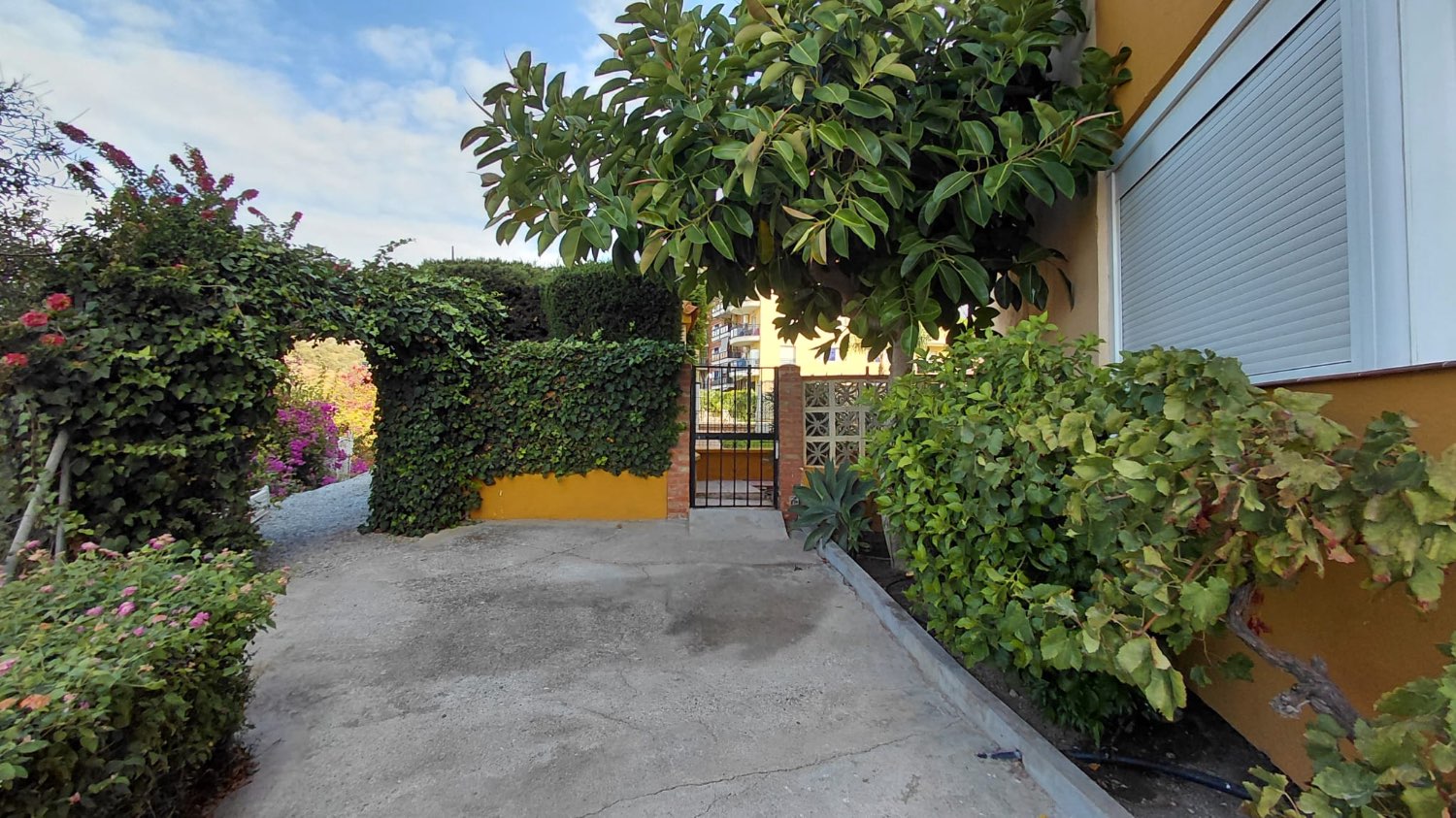 OPORTUNIDAD ÚNICA EN BENAJARAFE