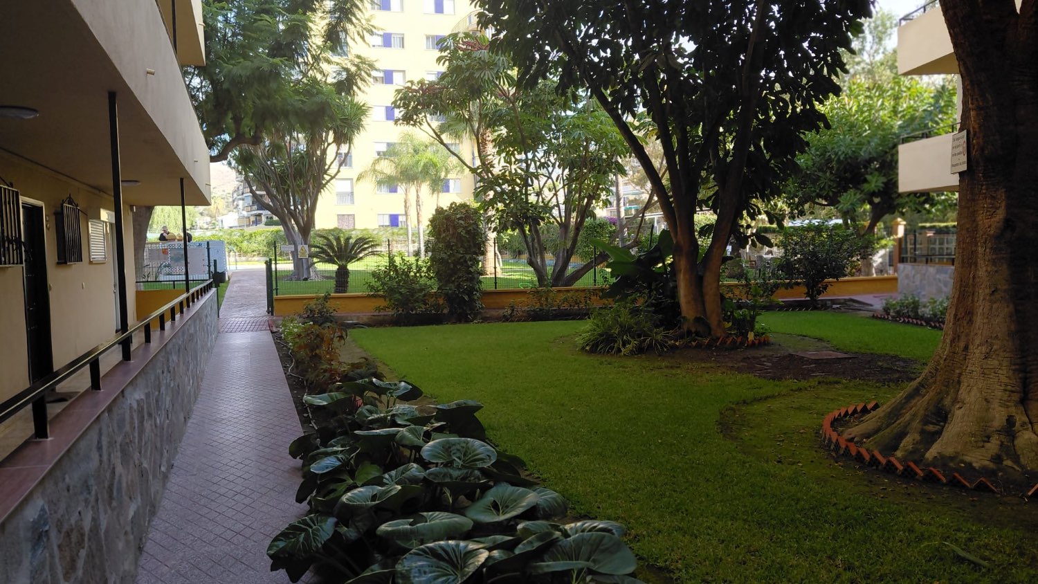 OPORTUNIDAD ÚNICA EN BENAJARAFE