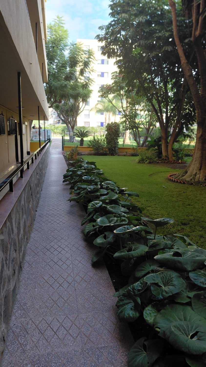 OPORTUNIDAD ÚNICA EN BENAJARAFE