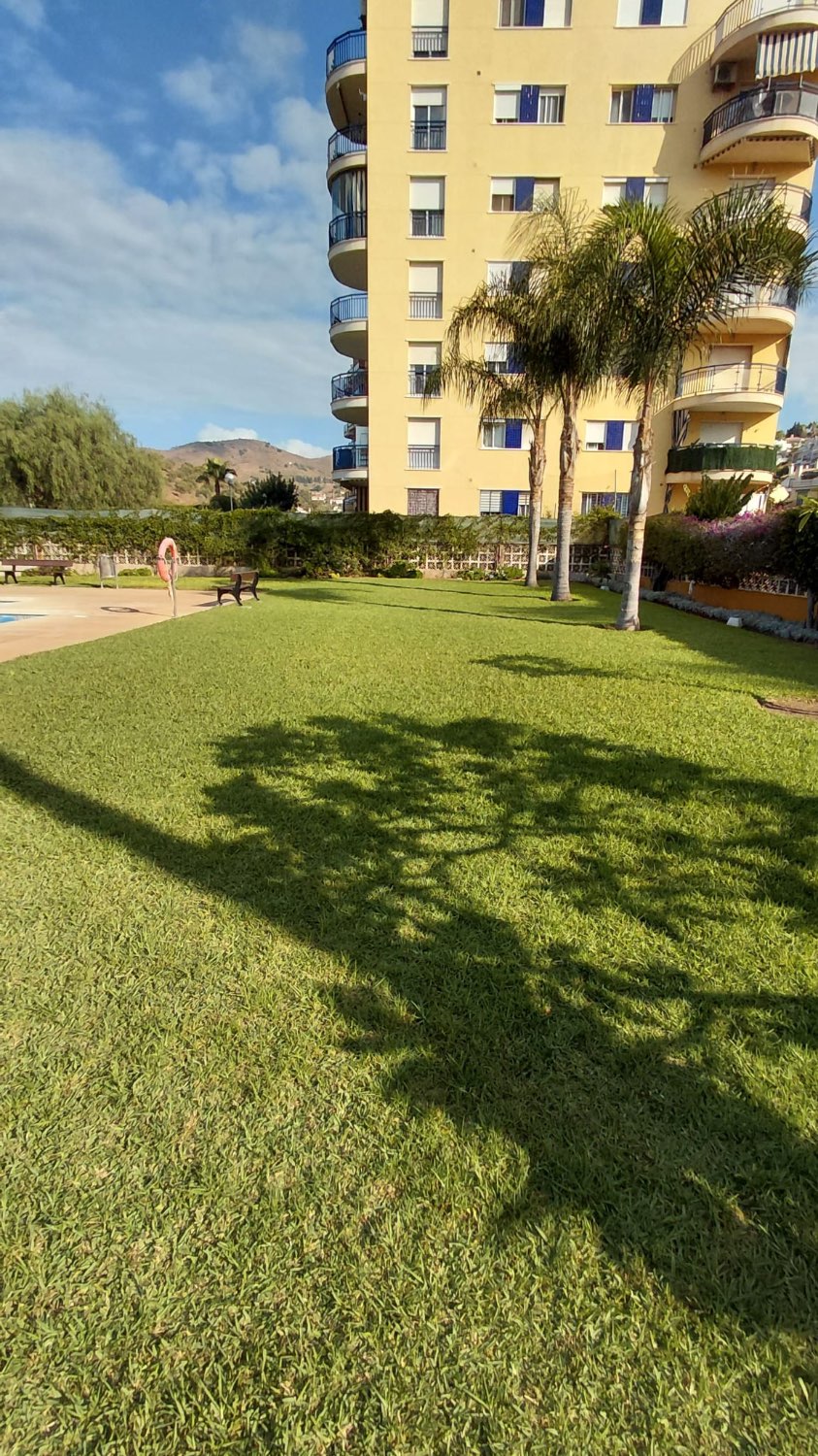 OPORTUNIDAD ÚNICA EN BENAJARAFE