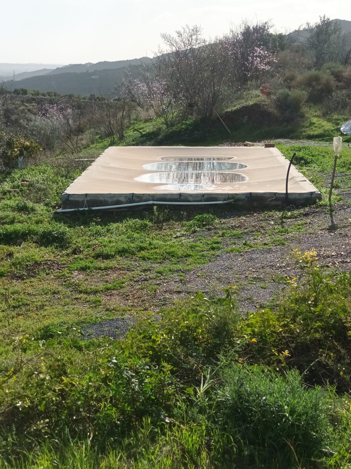 FINCA RÚSTICA EN PRODUCCIÓN CON CASA – OPORTUNIDAD ÚNICA EN CÚTAR (MÁLAGA)