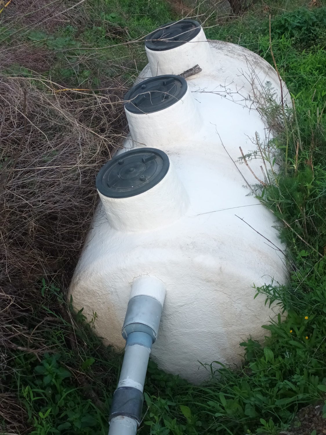 FINCA RÚSTICA EN PRODUCCIÓN CON CASA – OPORTUNIDAD ÚNICA EN CÚTAR (MÁLAGA)