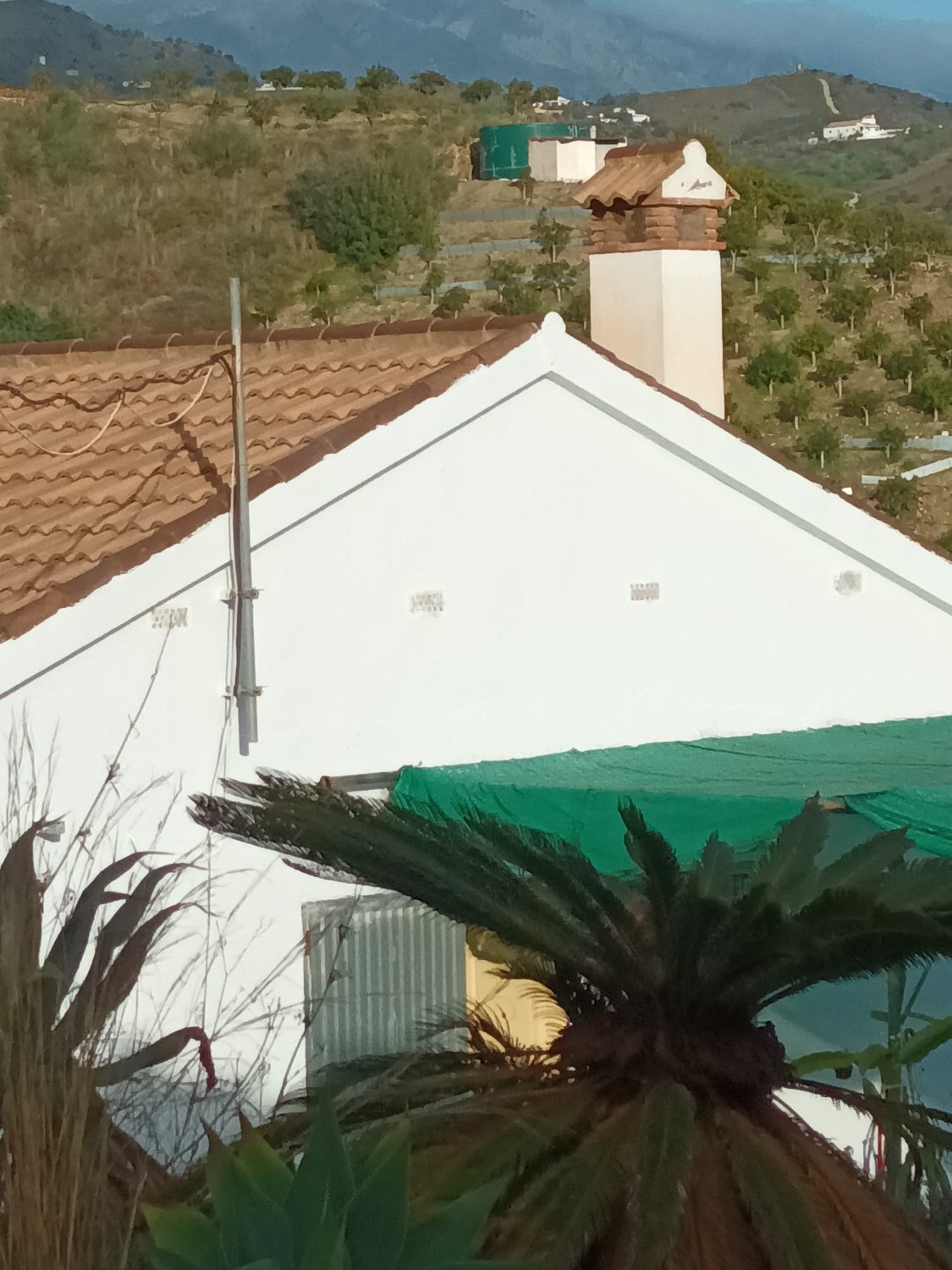 FINCA RÚSTICA EN PRODUCCIÓN CON CASA – OPORTUNIDAD ÚNICA EN CÚTAR (MÁLAGA)