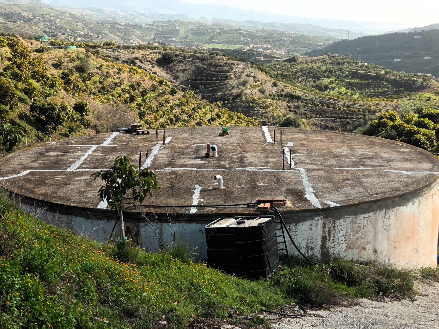 FINCA RÚSTICA EN PRODUCCIÓN CON CASA – OPORTUNIDAD ÚNICA EN CÚTAR (MÁLAGA)