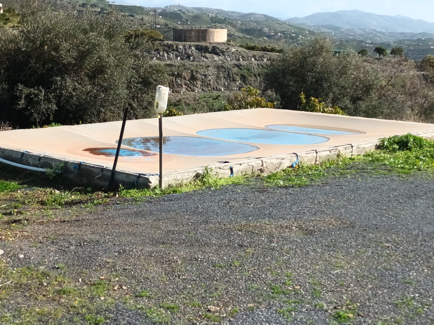 FINCA RÚSTICA EN PRODUCCIÓN CON CASA – OPORTUNIDAD ÚNICA EN CÚTAR (MÁLAGA)