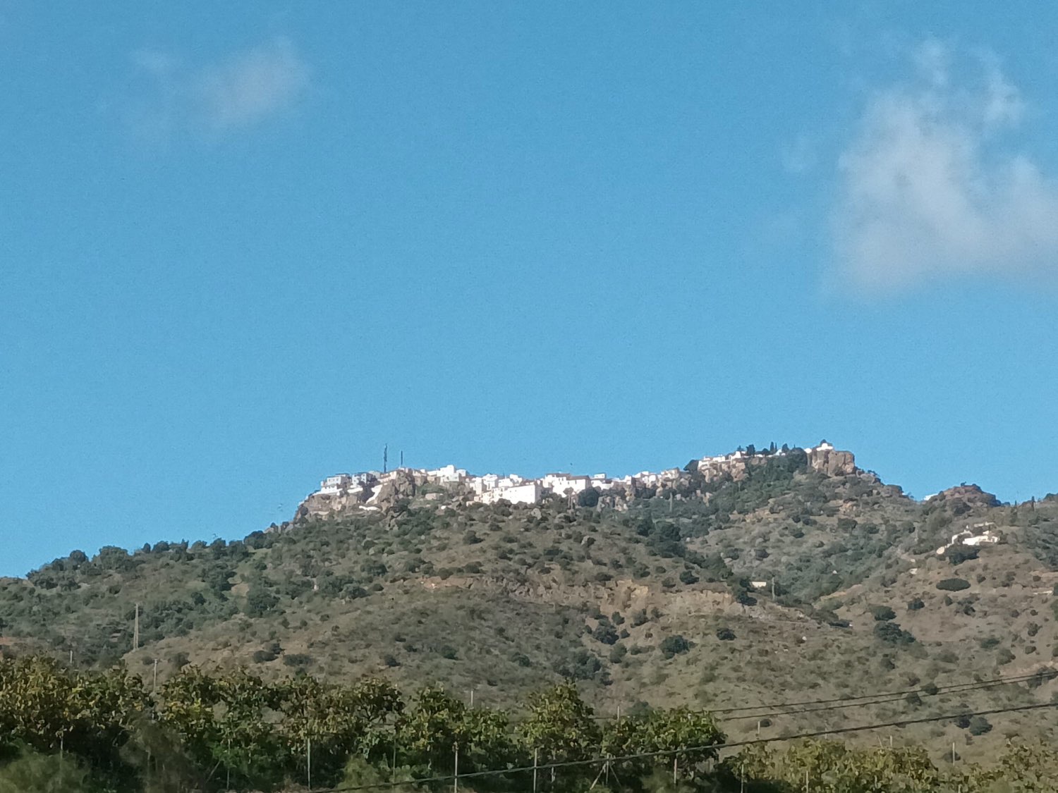 FINCA RÚSTICA EN PRODUCCIÓN CON CASA – OPORTUNIDAD ÚNICA EN CÚTAR (MÁLAGA)