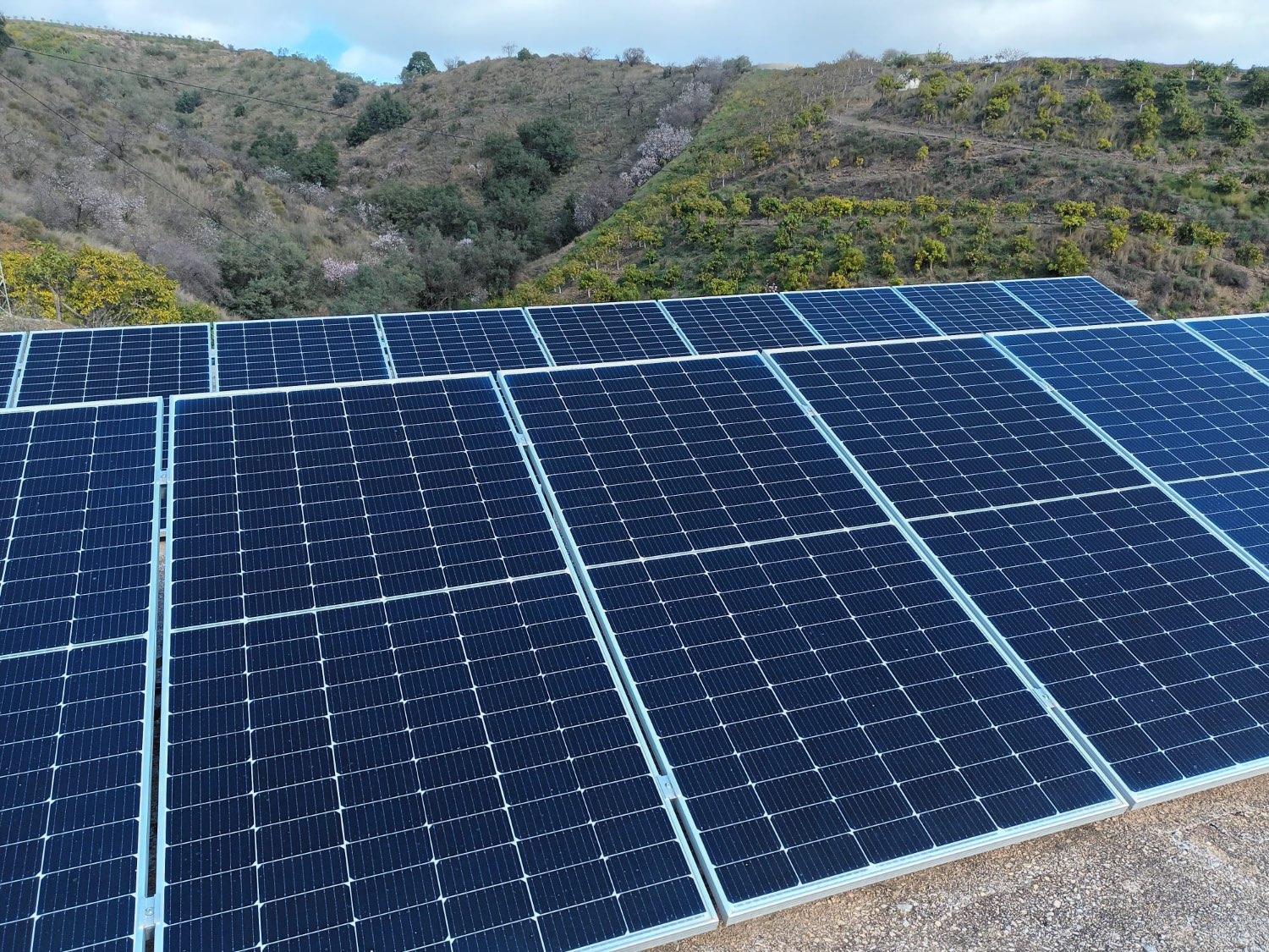 FINCA RÚSTICA EN PRODUCCIÓN CON CASA – OPORTUNIDAD ÚNICA EN CÚTAR (MÁLAGA)