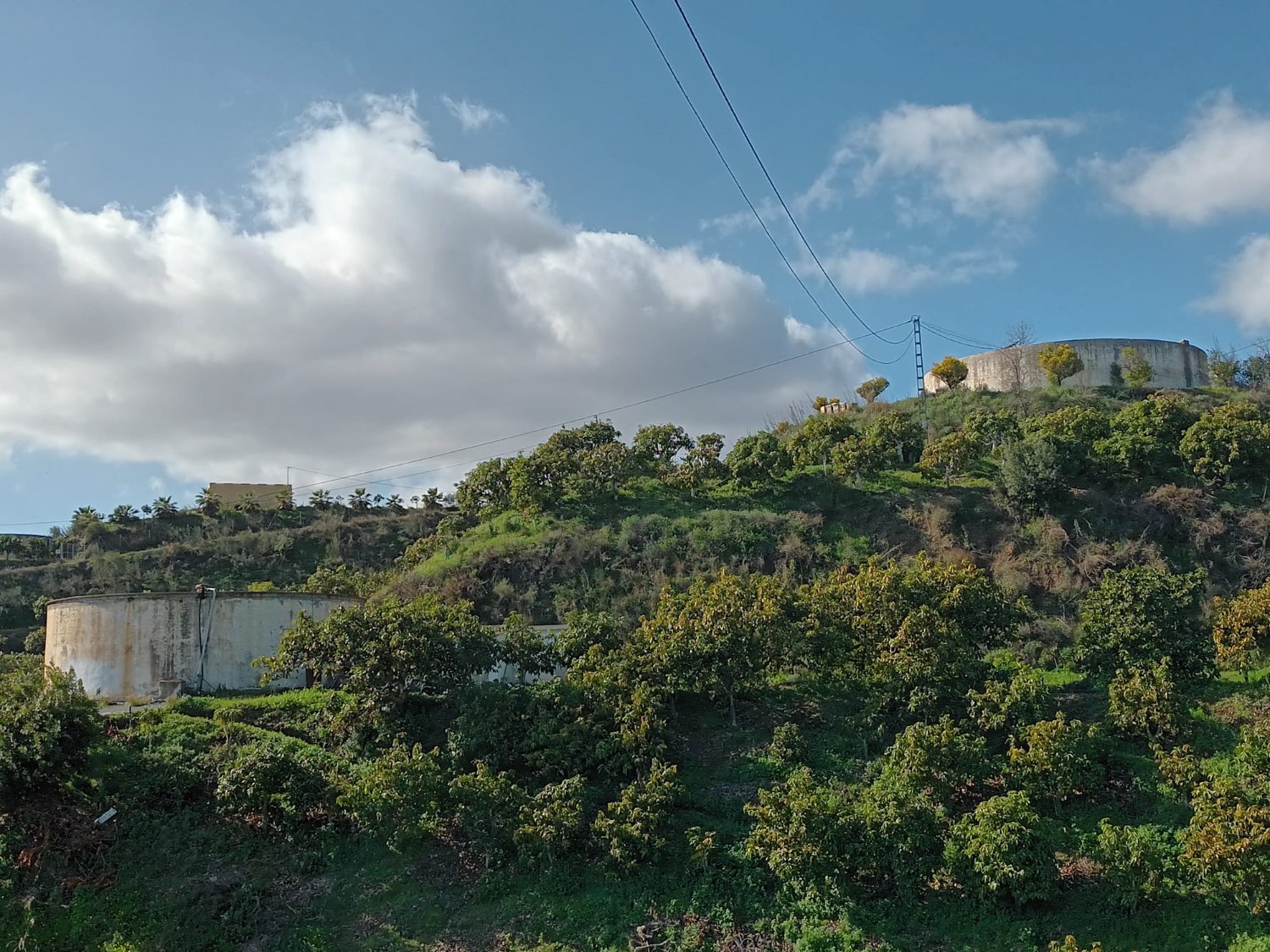 FINCA RÚSTICA EN PRODUCCIÓN CON CASA – OPORTUNIDAD ÚNICA EN CÚTAR (MÁLAGA)