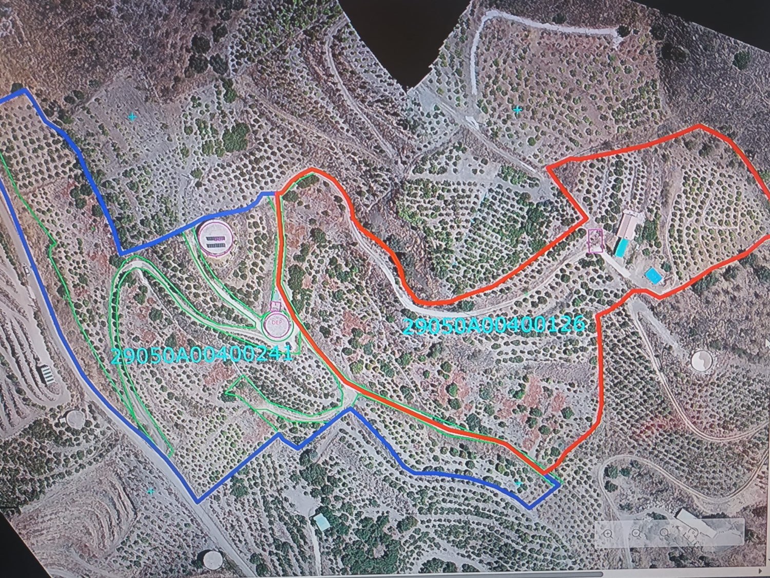 FINCA RÚSTICA EN PRODUCCIÓN CON CASA – OPORTUNIDAD ÚNICA EN CÚTAR (MÁLAGA)