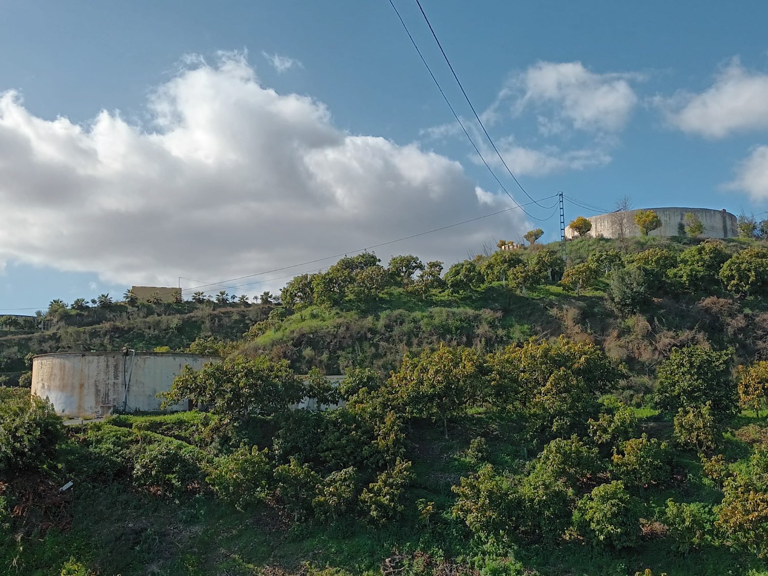 FINCA RÚSTICA EN PRODUCCIÓN CON CASA – OPORTUNIDAD ÚNICA EN CÚTAR (MÁLAGA)