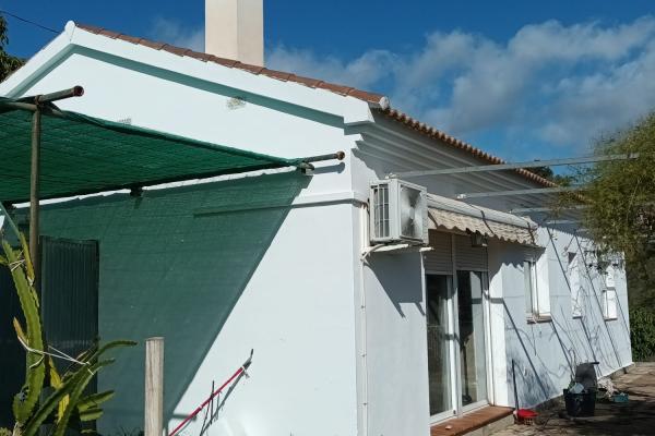 FINCA RÚSTICA EN PRODUCCIÓN CON CASA – OPORTUN...