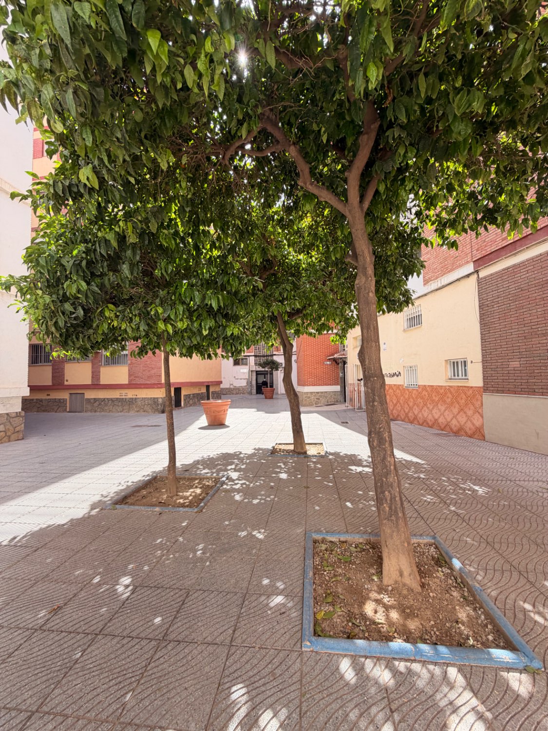 EXCLUSIVA LOCAL VENTA TORRE DEL MAR