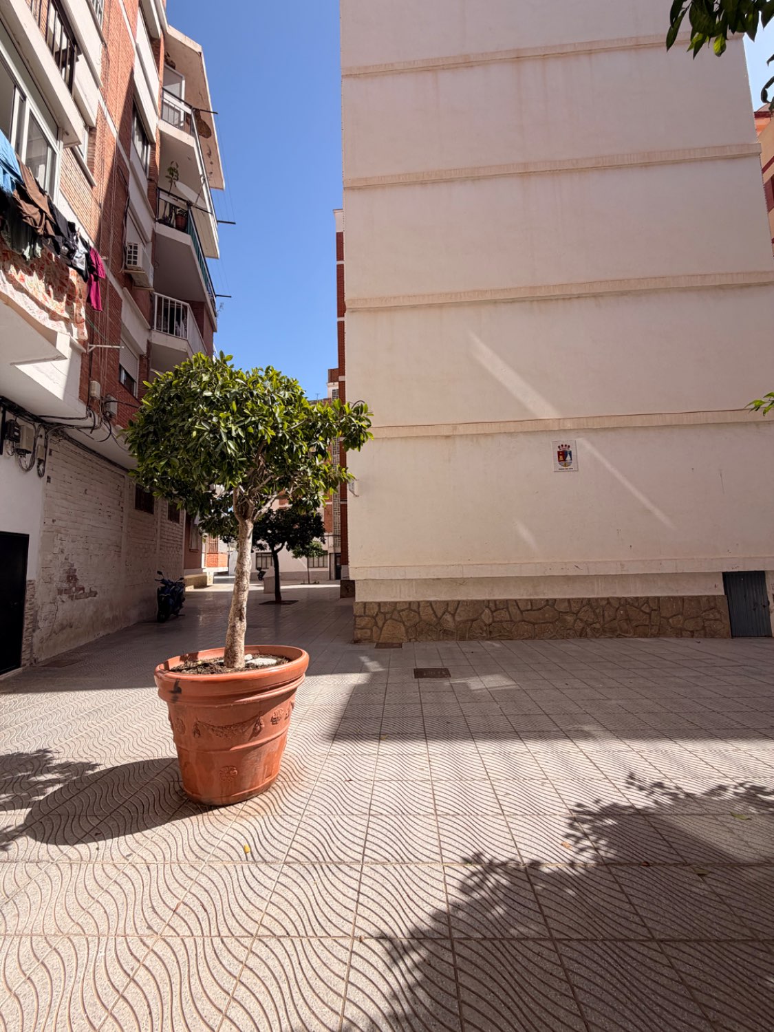 EXCLUSIVA LOCAL VENTA TORRE DEL MAR