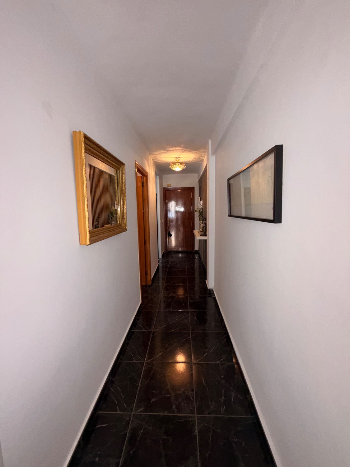 EXCLUSIVA CENTRO DE VELEZ